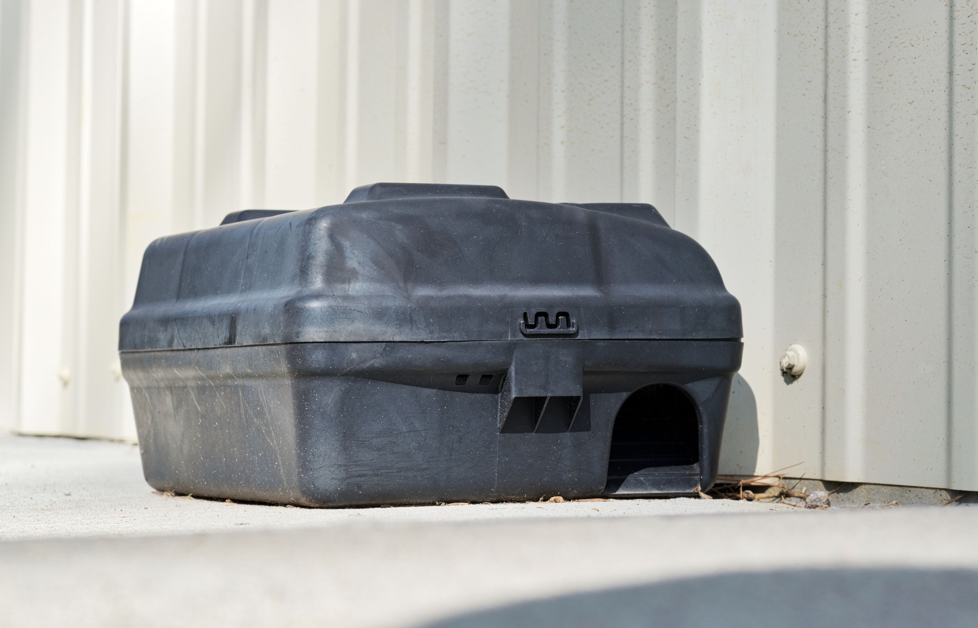 Rodent bait station poison pest control by commercial building wall.